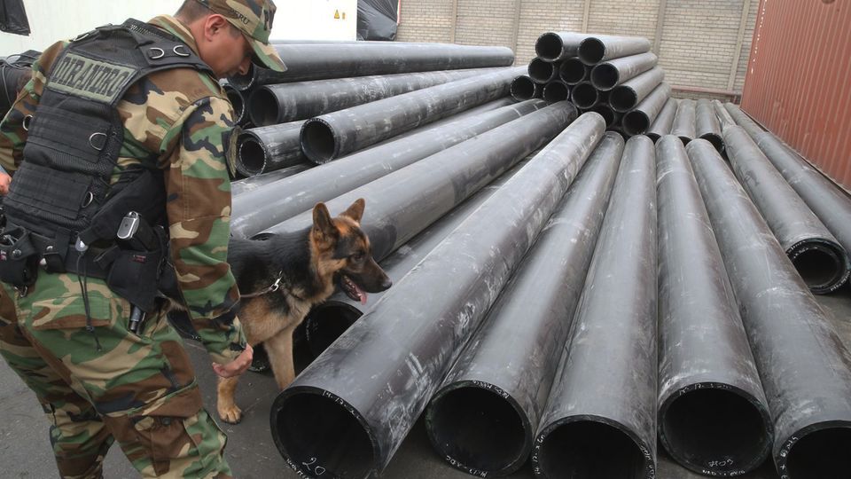 Kokain-Fund: Ein Polizist untersucht mit seinem Spürhund die beschlagnahmten PVC-Röhren