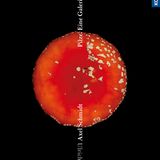 Mehr eindrucksvolle Bilder von Pilzen in. "Pilze. Eine Galerie" von Axel Schmidt und Ulrich Hinz. 208 Seiten. 