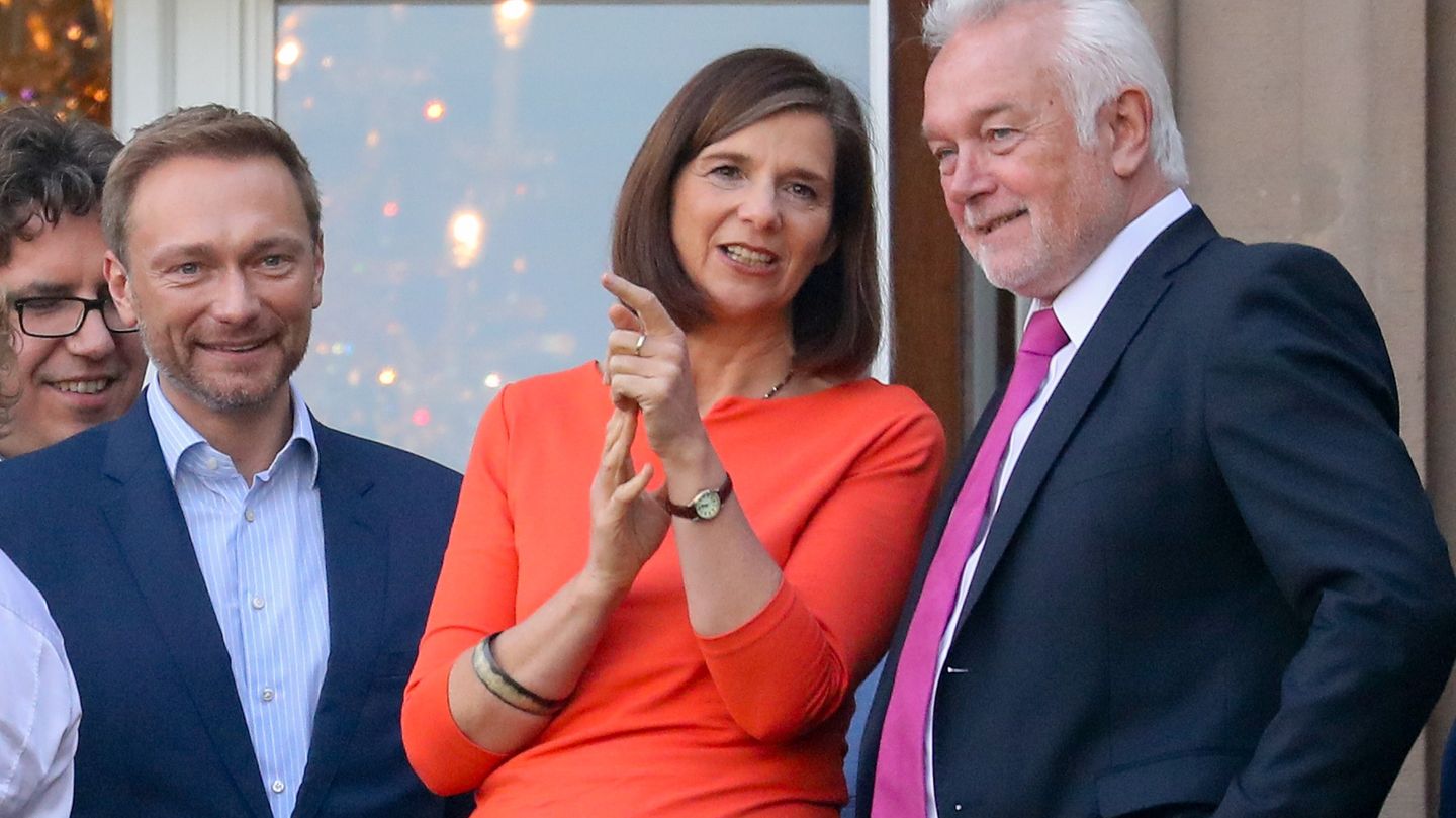 Lindner, Göring-Eckardt und Kubiki