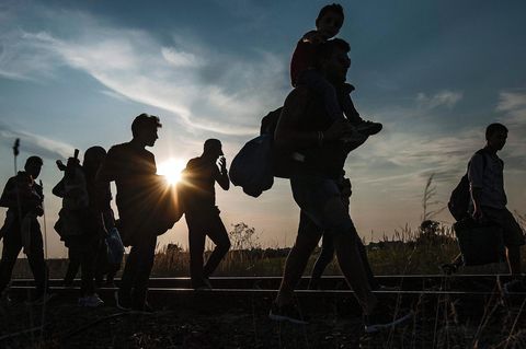 Sommer 2015: Menschen an der Grenze zwischen Ungarn und Serbien