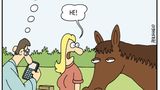 Zum Buch