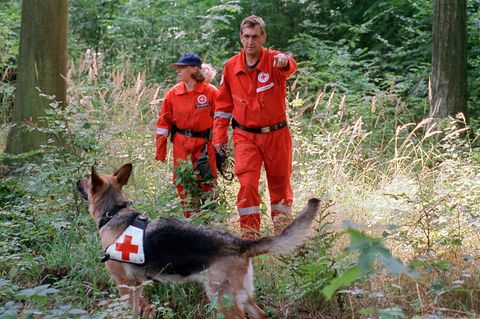 Ein Mann und eine Frau in orangenen Overalls folgen einem Suchhund durch einen Wald