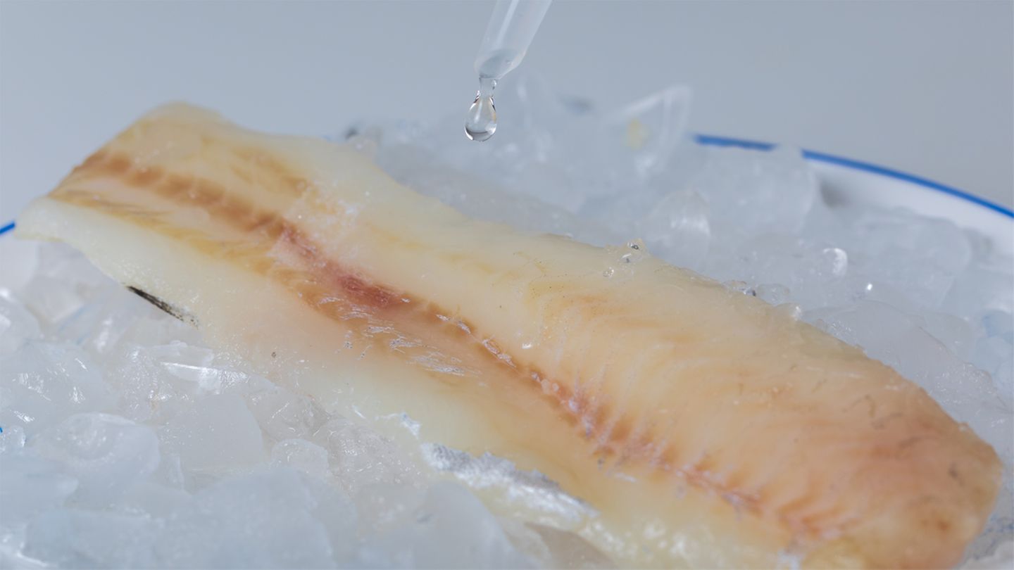 Mit der Zugabe von Wasser lässt sich das Gewicht von Tiefkühlfisch erhöhen