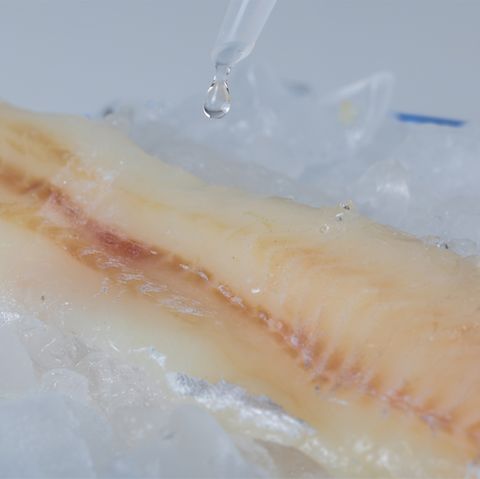 Mit der Zugabe von Wasser lässt sich das Gewicht von Tiefkühlfisch erhöhen