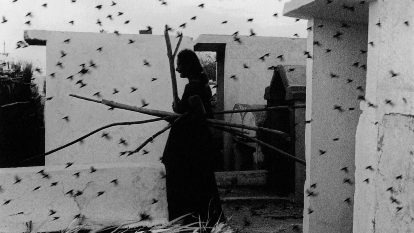 Ein Friedhof in Juchitán, Mexiko, 1988.  Dieses und weitere Motive finden Sie hier.