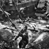 Fischer in Zahara de los Atunes, nahe des Kaps Trafalgar in Andalusien, 1982.  Dieses und weitere Motive finden Sie hier.