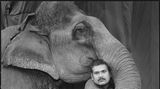 Ram Prakash Singh mit seinem Elefanten Shyama vom Great Golden Circus, Ahmedabad, 1990.  Dieses und weitere Motive finden Sie hier.