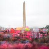 Der "Women's March" in Washington D. C. am 21. Januar 2017    Dieses und weitere Motive finden Sie hier.