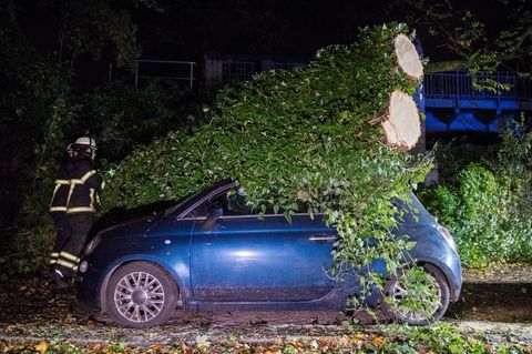 In Hamburg-Winterhude ist ein Baum auf ein Auto gestürzt. Feuerwehrleute räumen ihn beiseite.