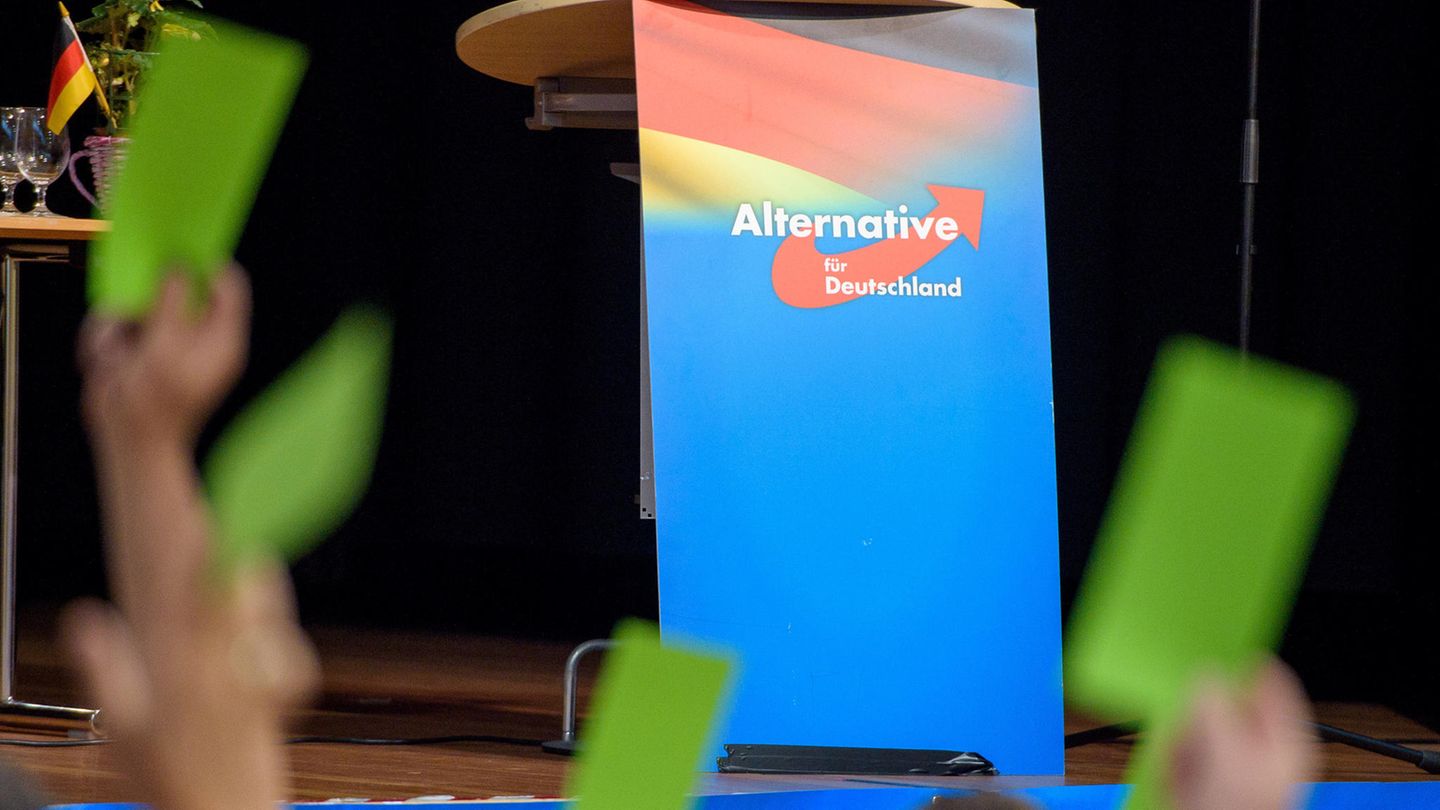 AfD löscht "Testversion" nach scharfer Kritik um "verfassungswidrige" Datenerhebung