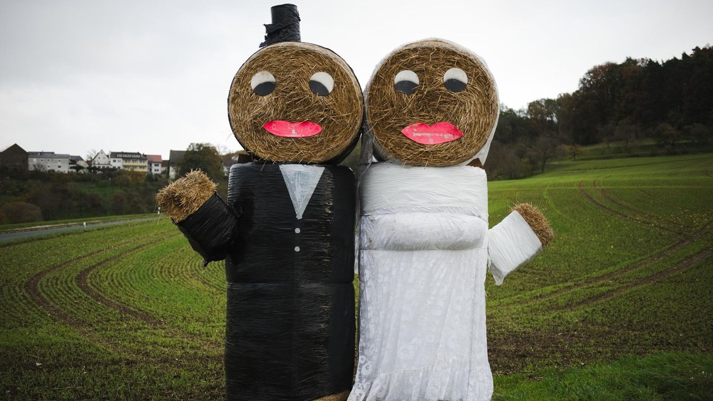 Irgendwann kommt die Frage alle Fragen: Schatz, sollen wir heiraten? Über das Für und Wider der Ehe.