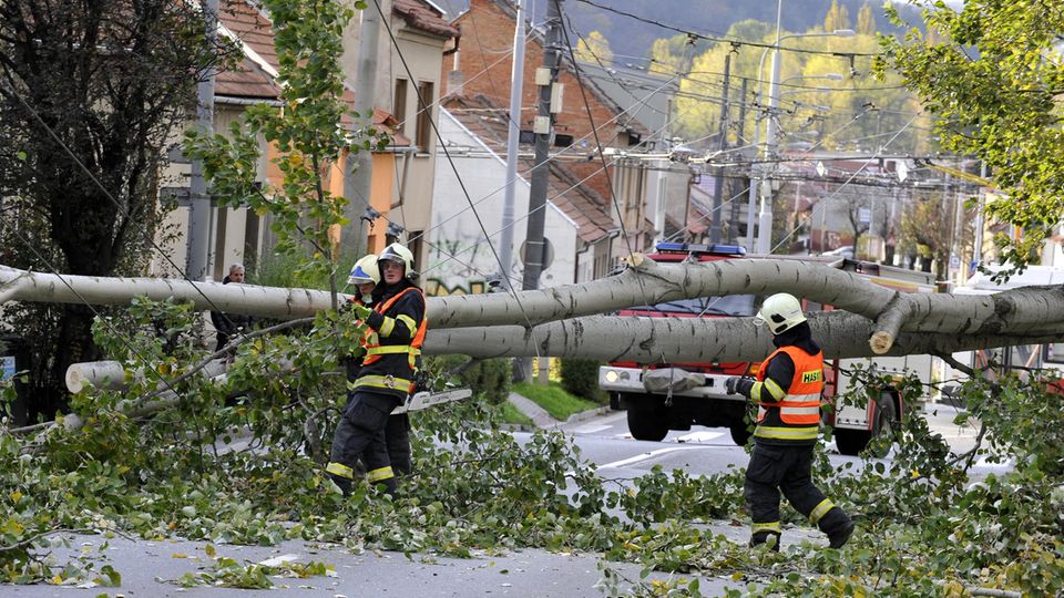 Chaos durch Herbststurm "Herwart": Zahlreiche Bäume stürzten um und behinderten Bahn und Straßenverkehr