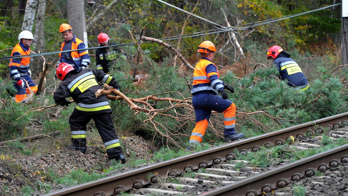 Einsatzkräfte der Feuerwehr räumen nach Sturm "Herwart" Äste von einer Bahnstrecke