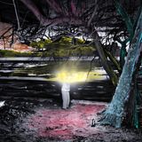 Die Bewohner des Eilands leben sehr rückständig. Es fehlt an vielen einfachen Dingen, beispielsweise einer funktionierenden Müllentsorgung. Die Einwohner verbrennen daher ihren Müll.  Auf dieser Aufnahme spielt ein Kind mit Feuer. Die Schwarz-Weiß-Aufnahme ließ Fotografin Sanne De Wilde im Anschluss von einem Farbenblinden kolorieren. Das verfremdete Bild zeigt eine Momentaufnahme aus der Sicht eines Farbenblinden: Der Boden leuchtet rot, der Baumstamm erstrahlt in einem kühlen Blau.