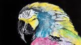 Der Papagei ist das tropische Symbol für Farben. Diese Aufnahme hat eine farbenblinde Frau im Nachhinein ausgemalt - ohne sehen zu können, welche Farben sie dabei verwendete. Erstaunlicherweise, so finden die Buchautoren, hat sie die Farben annähernd richtig aufgetragen.