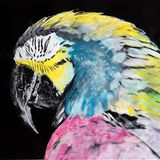 Der Papagei ist das tropische Symbol für Farben. Diese Aufnahme hat eine farbenblinde Frau im Nachhinein ausgemalt - ohne sehen zu können, welche Farben sie dabei verwendete. Erstaunlicherweise, so finden die Buchautoren, hat sie die Farben annähernd richtig aufgetragen.