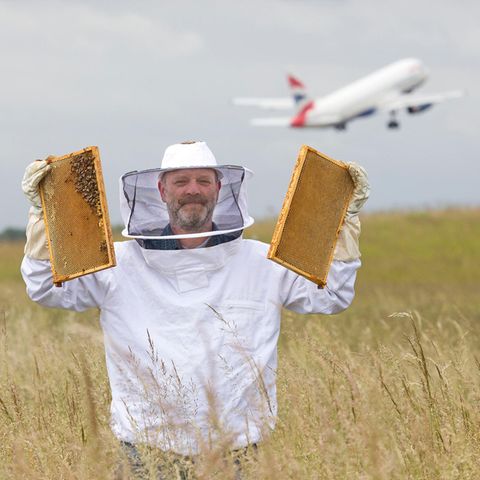 Ingo Fehr ist Hobby-Imker am Hamburger Flughafen