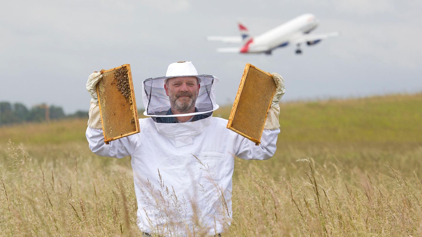 Ingo Fehr ist Hobby-Imker am Hamburger Flughafen