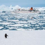 Routing: Bremen  In diesem Jahr war es "eine äußerst  knappe Entscheidung", hieß es bei der Preisverleihung. Aber die Routenführung der "Bremen", die auch in den Polarregionen unterwegs ist, während der Westpazifik-Expedition im Sommer 2018  gilt als Premieren-Highlight: Von der Westküste Japans geht es zu den Oki-Inseln und über Okinawa, die Insel Zamami Shima nach Iriomote, auf der man durch Mangrovenwäldert rudert. Dann folgen Taiwan, die Philippinen mit den Batan-Inseln und die Vulkaninsel Legaspi. Da wird man neugierig.