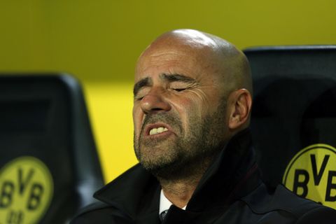 Peter Bosz, Trainer von Borussia Dortmund, sitzt auf der BVB-Bank und verzieht leidend das Gesicht