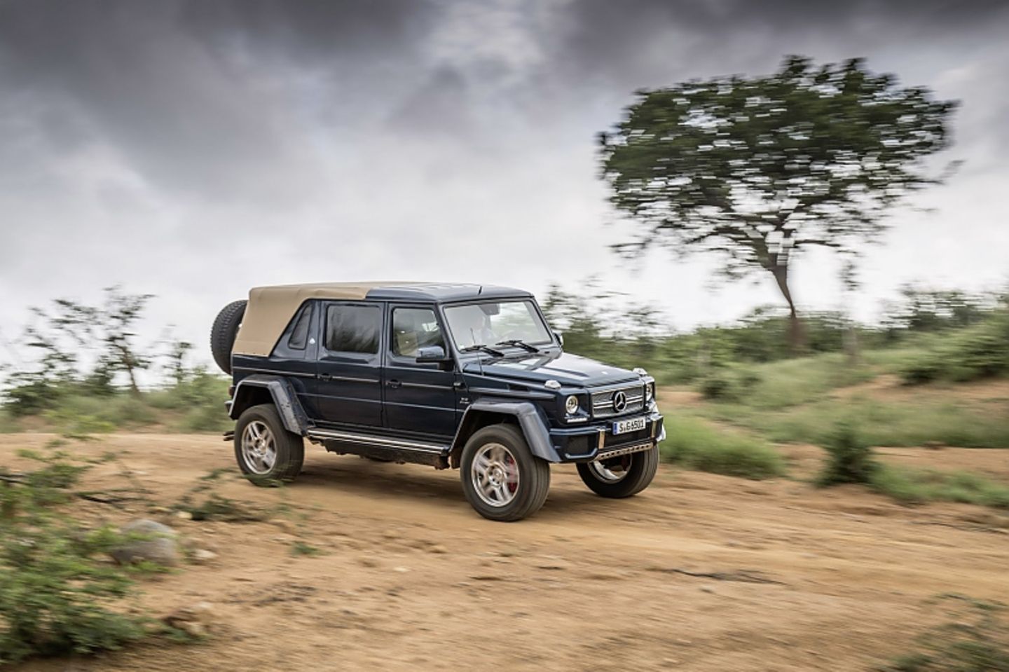 Mercedes Maybach G 650 Landaulet - da staunen selbst die Nashörner