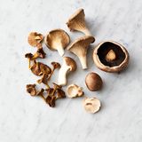 Die Pilze dazugeben, größere Exemplare in Stücke geteilt, mit Meersalz und schwarzem Pfeffer würzen und 8 Minuten goldbraun braten. Ab und zu durchschwenken.