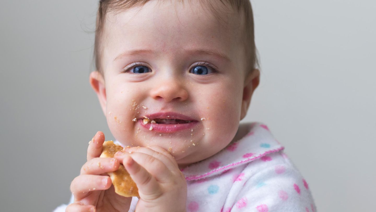 Ein Baby isst einen Kinderkeks.