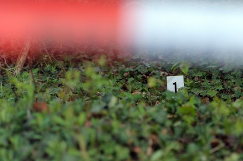 Schackendorf - Mord - Totschlag - Frauenleiche