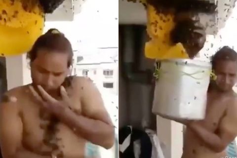 Leichtsinniger Imker: Dieser Mann hantiert mit nacktem Oberkörper mit einem Bienenschwarm