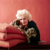 Starfotograf Milton H. Greene fotografierte Marilyn Monroe