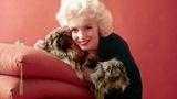 Starfotograf Milton H. Greene fotografierte Marilyn Monroe