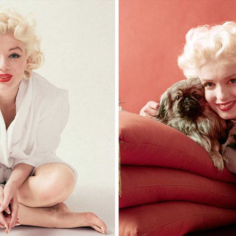 Starfotograf Milton H. Greene fotografierte Marilyn Monroe