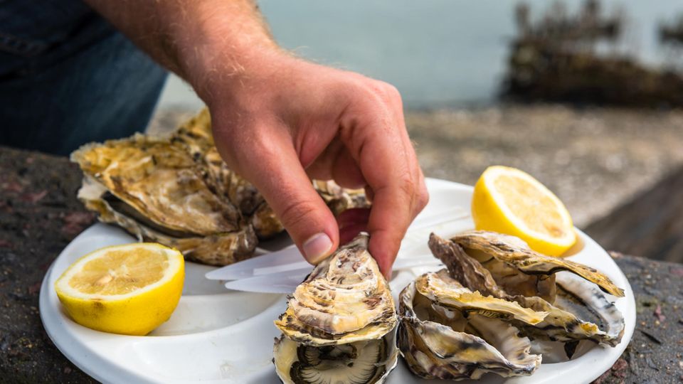 Langusten, Sardinen und süße Crepes: Austern aus Arcachon Schlürfen für Genießer: Fangfrische Austern (Huitres) haben das ganze Jahr über Saison. Austernzucht gibt es vor allem an den Küsten der Charente, der Bretagne und der Normandie sowie im Becken von Arcachon in Aquitanien. Wir empfehlen Schlemmerurlaubern auch den Besuch einer Austernzuchtanlage. Selbstverpfleger mit echtem Faible für Austern kaufen eine "bourriche" – so heißen die länglichen oder rechteckigen Körbe mit 12 Dutzend Austern. Austern aus Arcachon Schlürfen für Genießer: Fangfrische Austern (Huitres) haben das ganze Jahr über Saison. Austernzucht gibt es vor allem an den Küsten der Charente, der Bretagne und der Normandie sowie im Becken von Arcachon in Aquitanien. Wir empfehlen Schlemmerurlaubern auch den Besuch einer Austernzuchtanlage. Selbstverpfleger mit echtem Faible für Austern kaufen eine "bourriche" – so heißen die länglichen oder rechteckigen Körbe mit 12 Dutzend Austern.