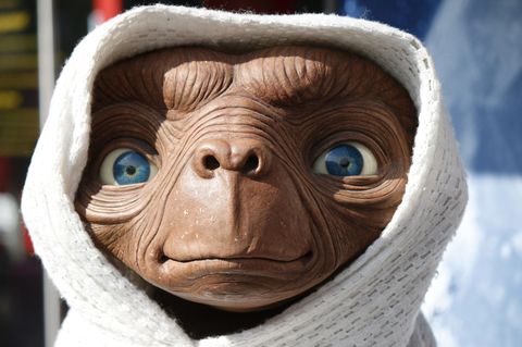Einer der bekanntesten Außerirdischen der Filmgeschichte: E.T.