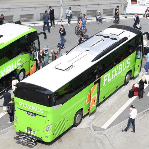 Flixbusse in Frankfurt am Main