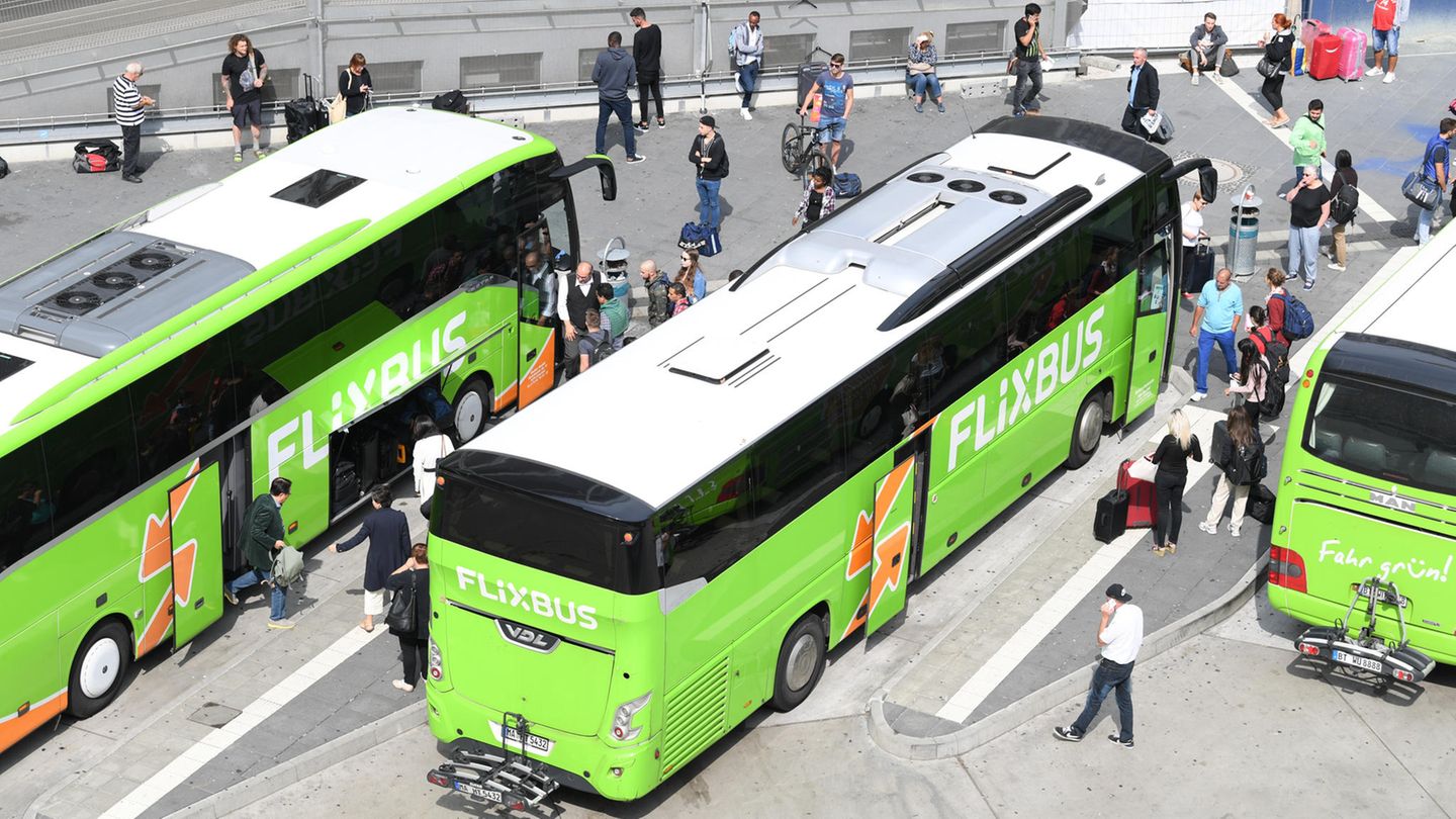 Flixbusse in Frankfurt am Main