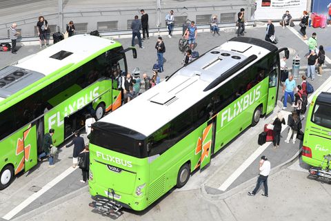Flixbusse in Frankfurt am Main