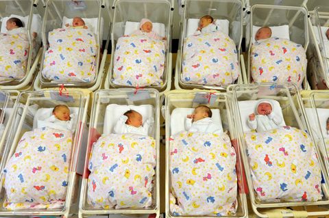 Babys auf einer Neugeborenenstation - Drittes Geschlecht muss künftig im Geburtenregister stehen