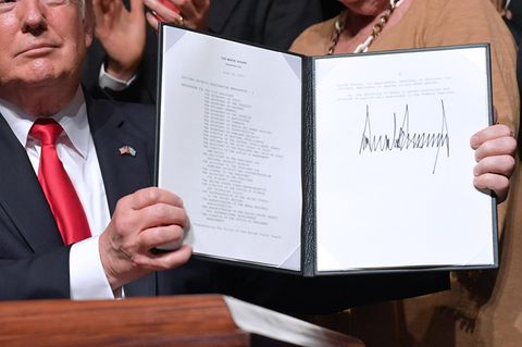 Donald Trump ein Jahr nach der Wahl