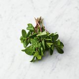 Regelmäßig durchschwenken, während Sie schon mal die Minzeblätter in feine Streifen schneiden und nach und nach in die Pfanne geben.