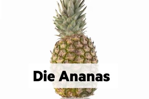 Der Status