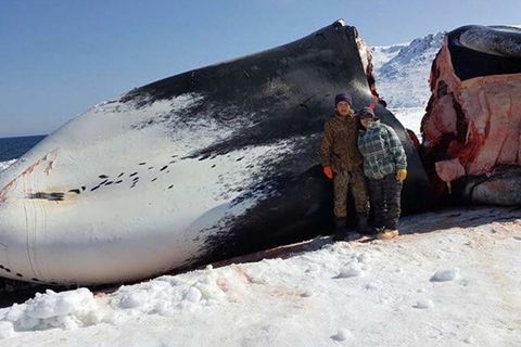 Alaska: Junge tötet einen Wal - und das verändert sein Leben komplett