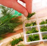 Frieren Sie weiche Kräuter besser als Eiswürfel ein, sonst besteht die Gefahr, dass sie matschig und braun werden. 