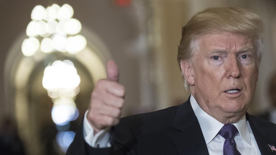Donald Trump erlaubt wieder Import von Elefantentrophäen
