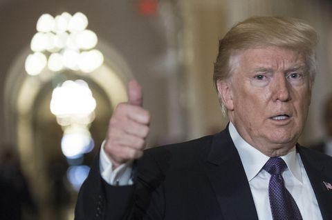 Donald Trump erlaubt wieder Import von Elefantentrophäen
