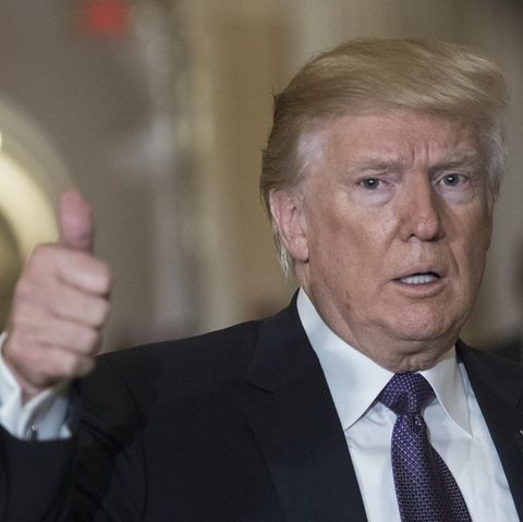 Donald Trump erlaubt wieder Import von Elefantentrophäen