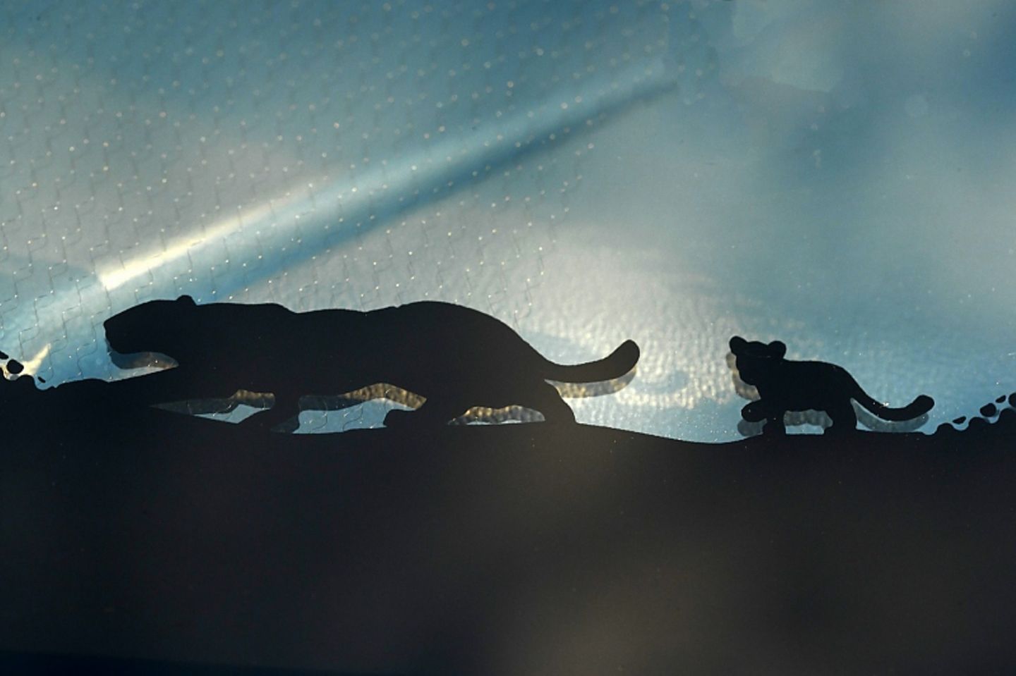 Ein Jaguar-Pärchen (Mutter und Junges) findet sich auf der Frontschutzscheibe