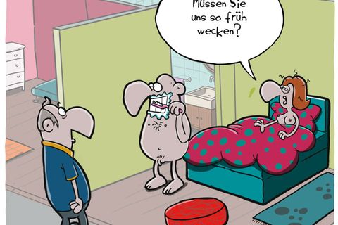 Zum Buch