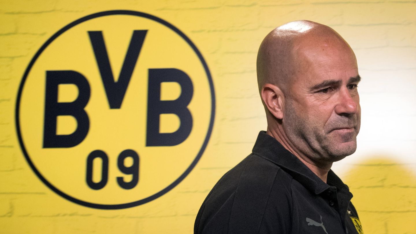 Peter Bosz mit dem BVB-Emblem im Rücken