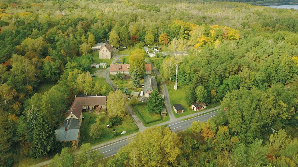 Die Siedlung Alwine in Brandenburg liegt mitten in einem Waldstück